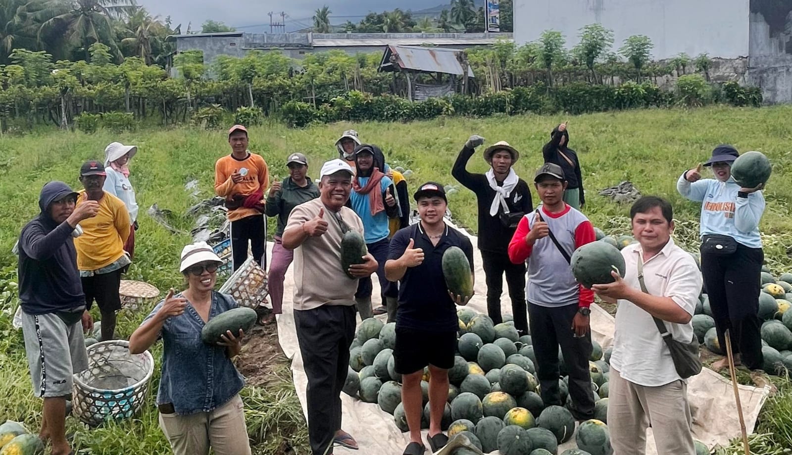  Harja Astawa Turun Langsung Tinjau Hasil Panen Petani Muda Diserap Pasar Melalui Dapur MBG
