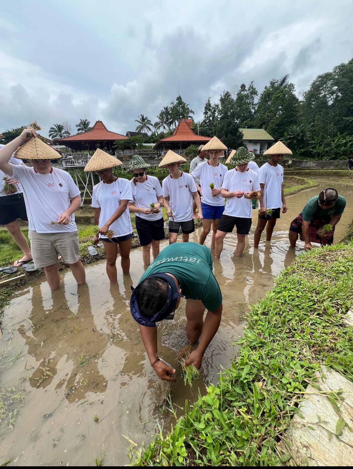 Pembangunan Marak, Masa Depan Sawah Terancam, John Purna Manajer Operasional DTW Jatiluwih Minta Penegakan Aturan Dioptimalkan 