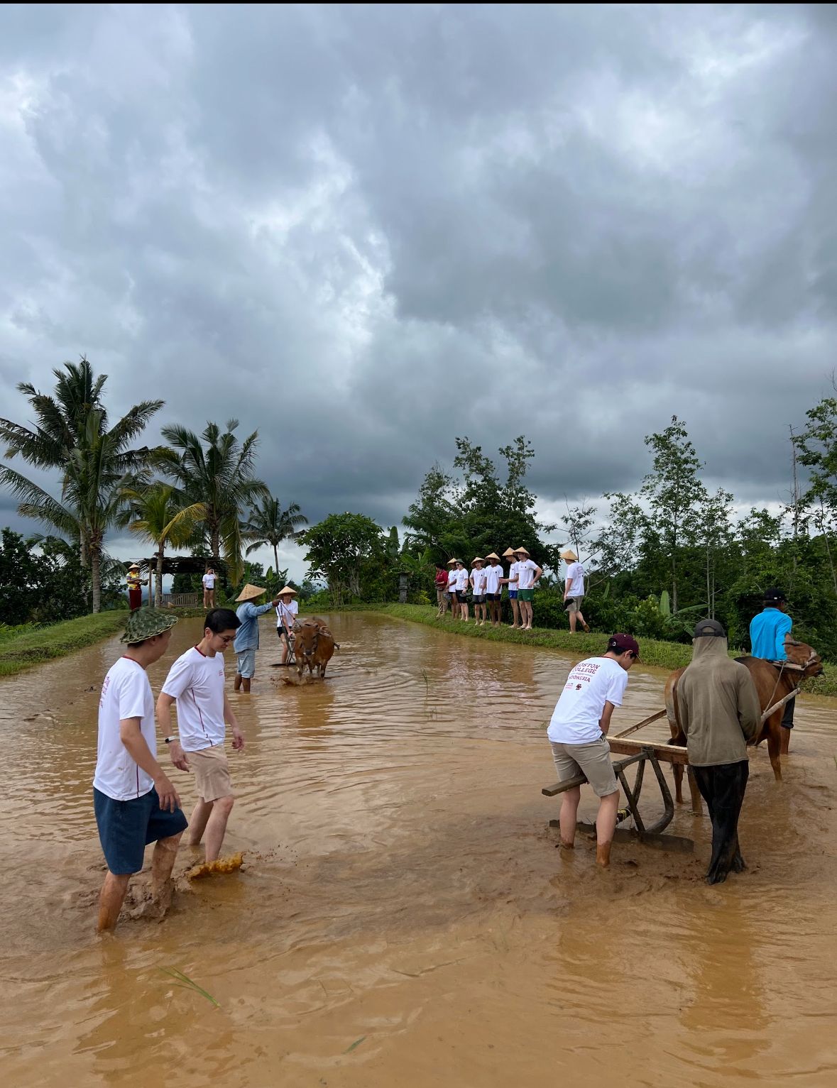 Pansus TRAP DPRD Bali Perketat Pengawasan di Jatiluwih Komitmen Warisan Dunia Unesco Tetap Terjaga