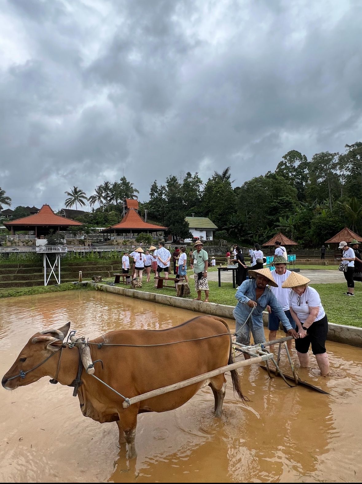 Pansus TRAP Ungkap Solusi Selamatkan Jatiluwih Tanpa Korbankan Budaya
