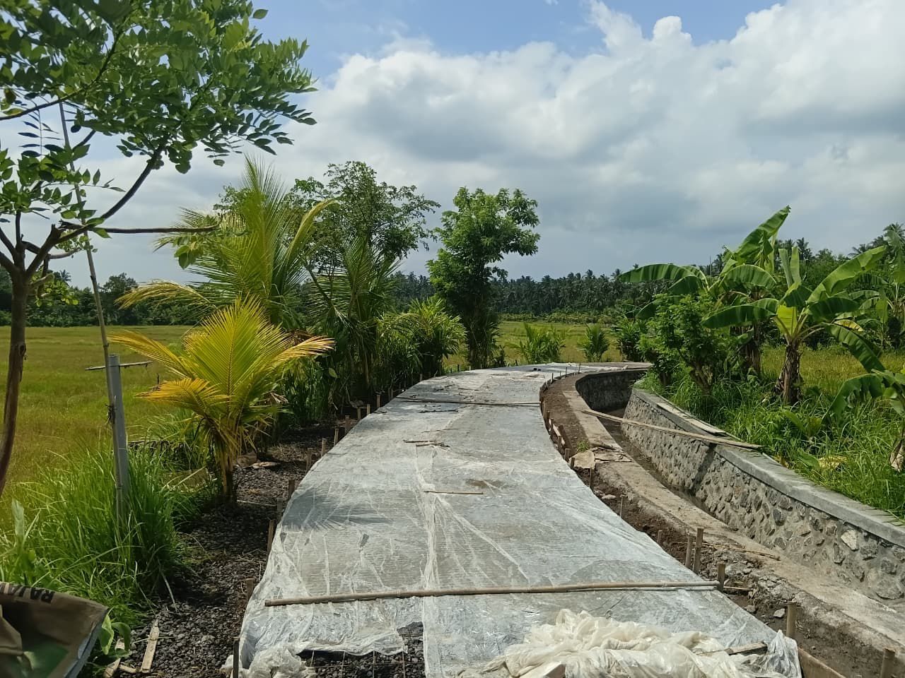 Sukseskan Program Ketahanan Pangan, Saluran Irigasi Subak di Jembrana Serentak Diperbaiki, Petani Terbantu