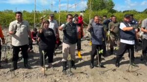 Mangrove Bali Jadi Contoh Nasional, Koster dan Kemendagri Gaungkan Lingkungan Lestari