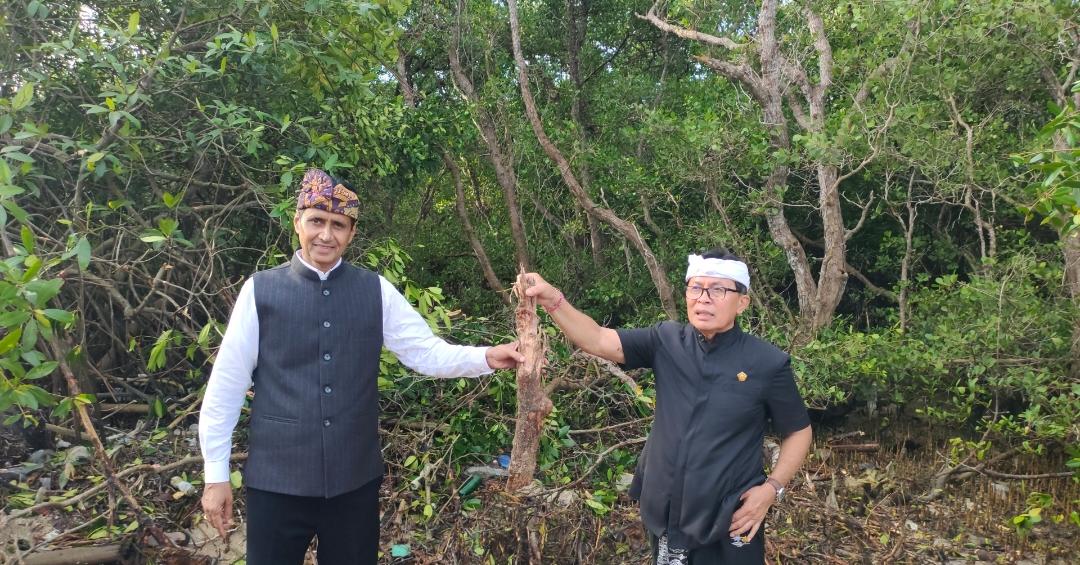 Diduga Babat Mangrove, Pansus TRAP Semprot BTID: ‘Ekosistem Bali Tidak Boleh Dikorbankan!’