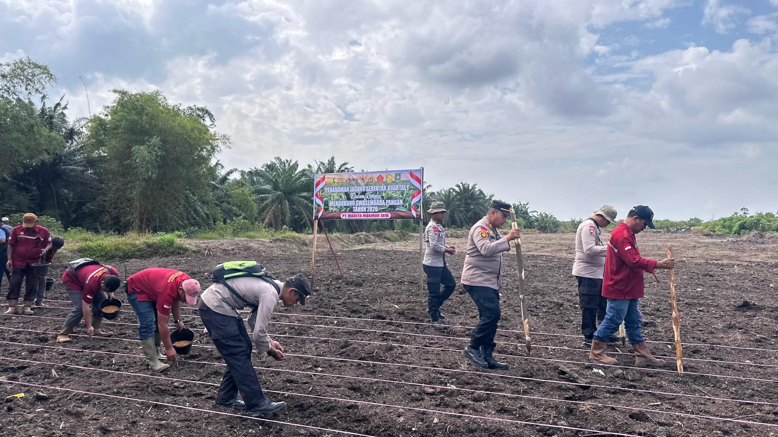 Polsek Rupat bersama PT MMJ Tanam Jagung untuk Dukung Swasembada Pangan 2026